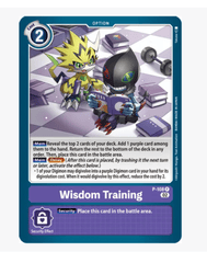 Wisdom Training